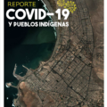 Reporte COVID-19 y pueblos indígenas en Arica