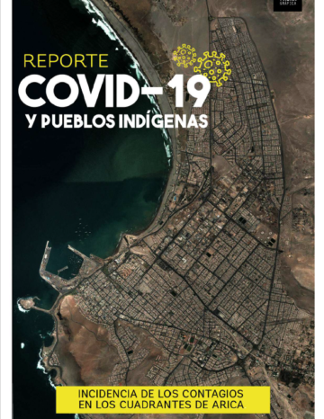 Reporte COVID-19 y pueblos indígenas en Arica