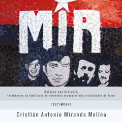 LIBRILLO_Testimonio Cristián Antonio Miranda Molina